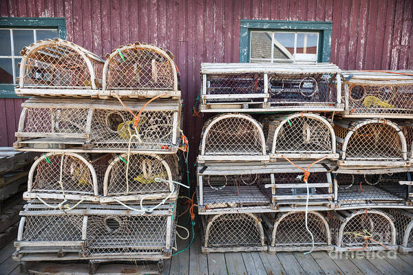 Lobster Traps Art Print featuring the photograph Lobster traps 4 by Elena Elisseeva