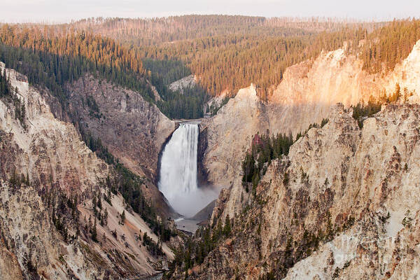 Artist Point Art Print featuring the photograph Lower Yellowstone Falls on the Yellowstone River at Artist Point #1 by Fred Stearns