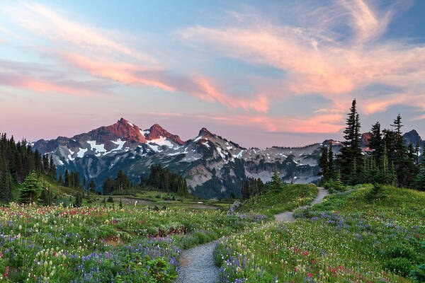 Alpine Art Print featuring the photograph Mazama Ridge Wildflowers #2 by Michael Russell