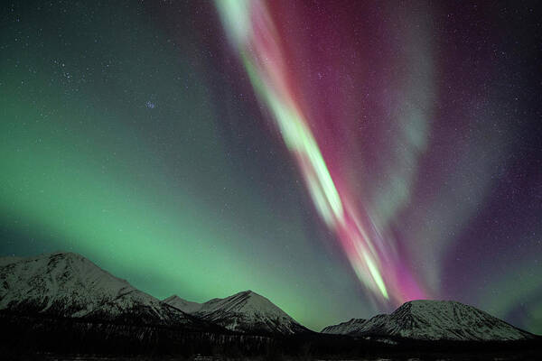 No People Art Print featuring the photograph Northern Lights, Annie Lake, Yukon #1 by Jonathan Tucker