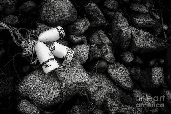 Lobster Bouys Art Print featuring the photograph On the Rocks #1 by Scott Thorp