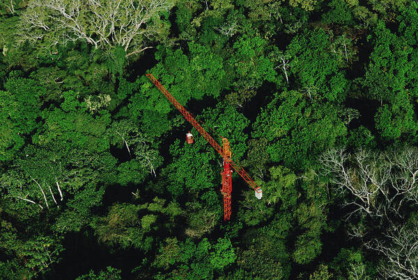Feb0514 Art Print featuring the photograph Rainforest Canopy Research Crane Stri #1 by Mark Moffett