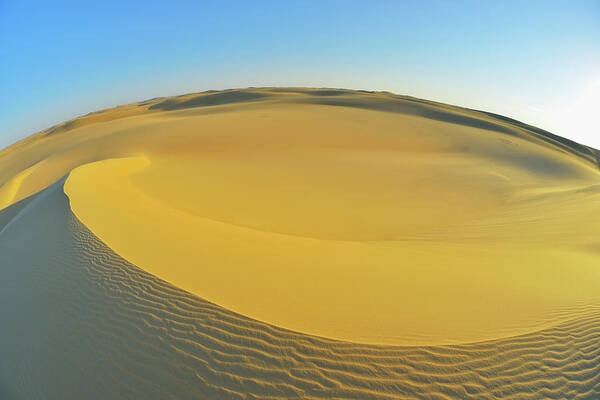 Sand Dune Art Print featuring the photograph Sand Dune #1 by Raimund Linke