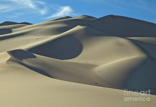 00559255 Art Print featuring the photograph Sand Dunes In Death Valley by Yva Momatiuk John Eastcott