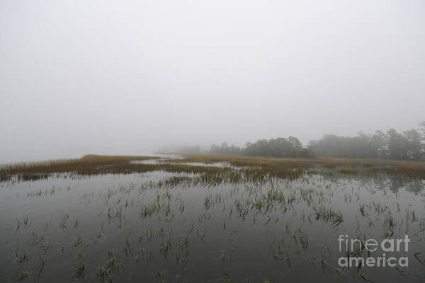 Fog Art Print featuring the photograph Sea Fog #1 by Dale Powell