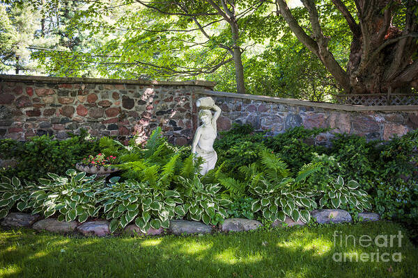 Garden Art Print featuring the photograph Shady perennial garden 1 by Elena Elisseeva