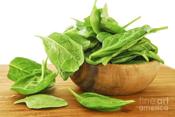 Spinach Art Print featuring the photograph Spinach 1 by Elena Elisseeva