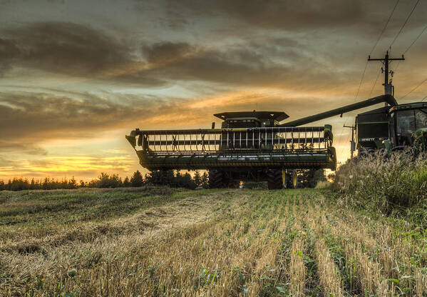 Around Town Art Print featuring the photograph The harvest time #1 by Nick Mares