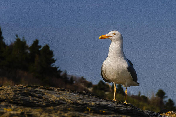 2010 Art Print featuring the photograph The Observer-Oil by Mark Myhaver