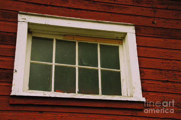 Lacey Magruder Winery Art Print featuring the photograph The window #1 by William Norton