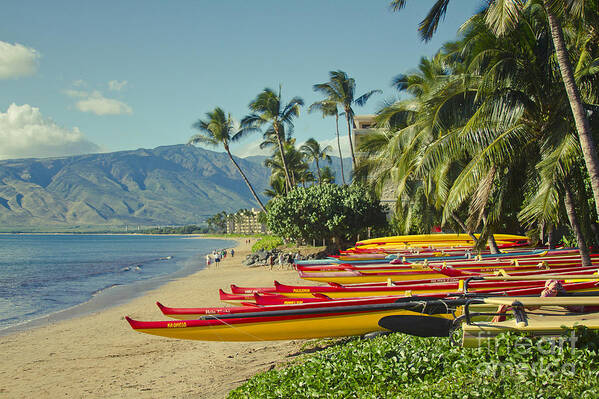 Kenolio Beach Art Print featuring the photograph Ka Lae Pohaku beach park Kenolio Kihei Maui Hawaii by Sharon Mau