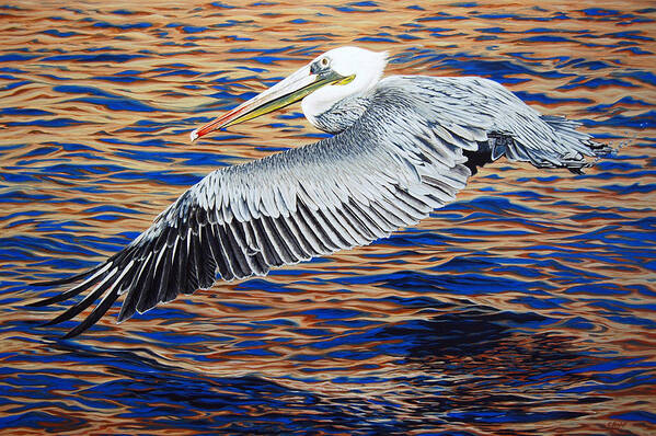 Bird Art Print featuring the painting Wind Surfer by Cheryl Fecht