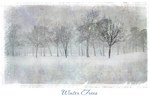 Snow Art Print featuring the photograph Winter Trees #1 by Cathy Kovarik