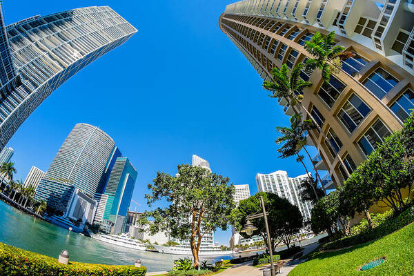 Architecture Art Print featuring the photograph Downtown Miami by Raul Rodriguez
