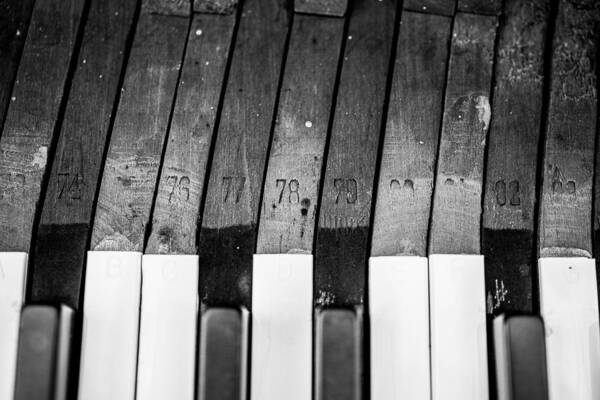 Piano Art Print featuring the photograph 10 Keys by David Downs