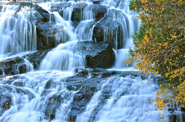 Bond Falls Art Print featuring the photograph 1000 Mini Waterfalls by Dan Hefle