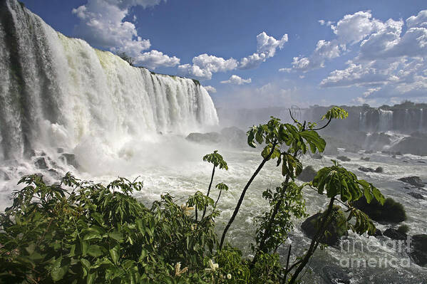 Iguazu Falls Art Print featuring the photograph 111230p121 by Arterra Picture Library