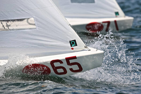 Star Art Print featuring the photograph Star Boat Regatta #12 by Steven Lapkin