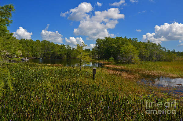  Art Print featuring the photograph 13- Florida Everglades by Joseph Keane