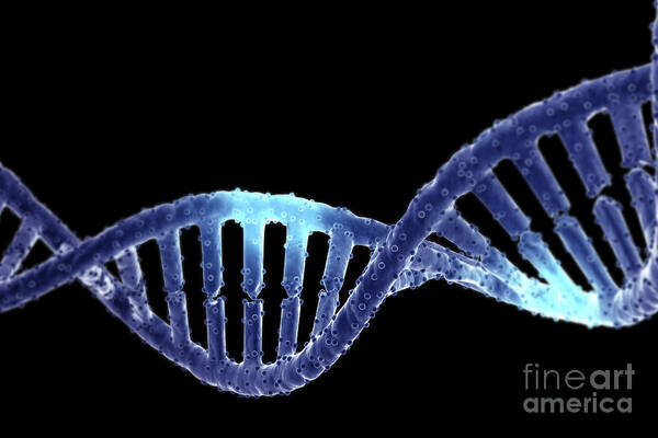 Digitally Generated Image Art Print featuring the photograph Dna #17 by Science Picture Co
