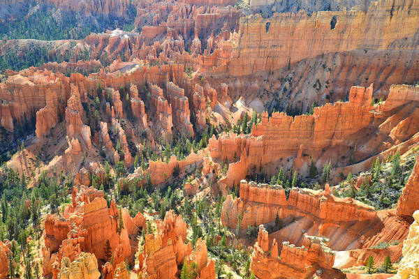 Bryce Canyon National Park Art Print featuring the photograph Bryce Canyon #29 by Ray Mathis