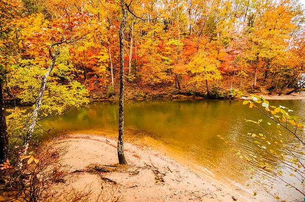 At A Lake Wylie Art Print featuring the photograph Autumn Season At A Lake #2 by Alex Grichenko