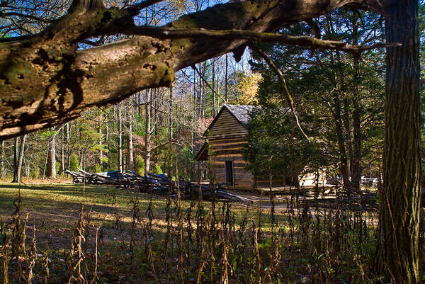 Cabin Art Print featuring the photograph Cades Cove Cabin #2 by Douglas Barnett