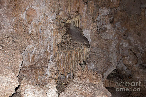 Carlsbad Art Print featuring the photograph Dolls Theater Carlsbad Caverns National Park #2 by Fred Stearns