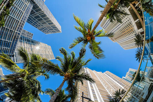 Architecture Art Print featuring the photograph Downtown Miami Brickell Fisheye #2 by Raul Rodriguez