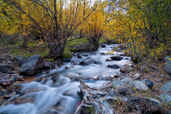 River Art Print featuring the photograph Fall at Big Pine Creek #2 by Cat Connor