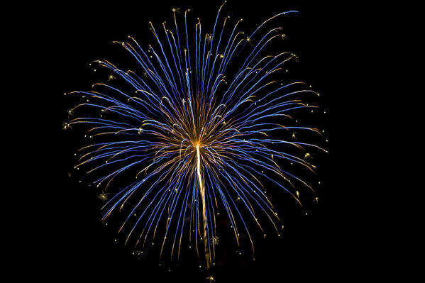 Colors Art Print featuring the photograph Fireworks bursts colors and shapes #2 by SC Heffner