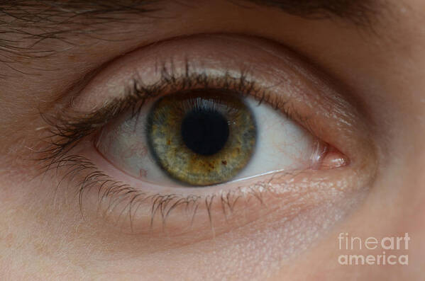 20-30 Year Old Art Print featuring the photograph Mans Eye #2 by Photo Researchers, Inc.