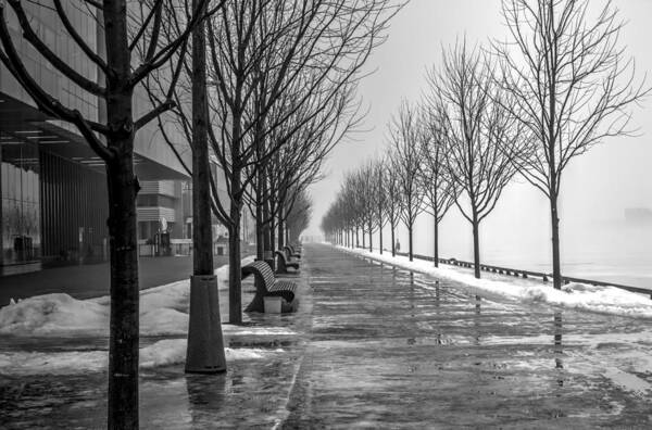 Landscape Art Print featuring the photograph Path Through Fog by Nicky Jameson