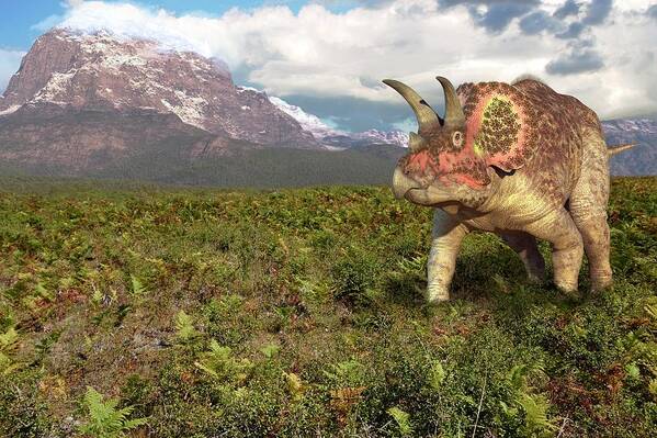 Artwork Art Print featuring the photograph Triceratops Dinosaur #2 by Roger Harris