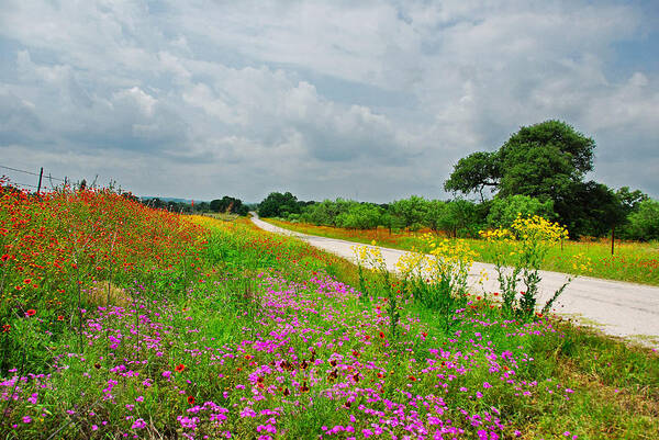 Landscape Art Print featuring the photograph Wildflower Wonderland #2 by Lynn Bauer