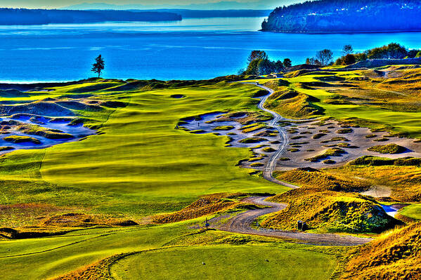 Chambers Bay Golf Course Art Print featuring the photograph #5 at Chambers Bay Golf Course - Location of the 2015 U.S. Open Tournament #2 by David Patterson
