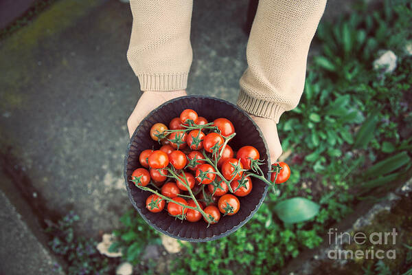 Crop Art Print featuring the photograph Fresh tomatoes #3 by Mythja Photography