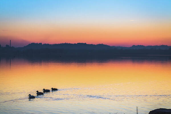 Panoramic Art Print featuring the photograph Lake Sunset #3 by Deimagine