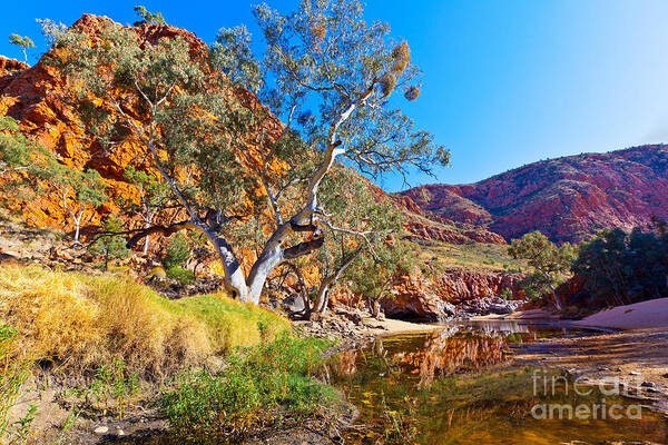 Ormiston Gorge Outback Landscape Central Australia Water Hole Northern Territory Australian West Mcdonnell Ranges Art Print featuring the photograph Ormiston Gorge #3 by Bill Robinson