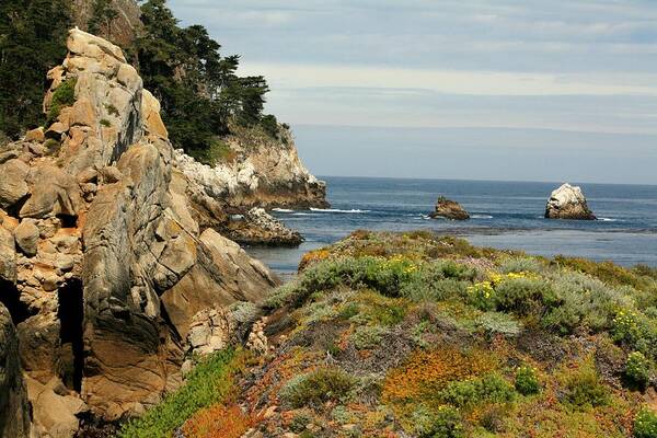 The Coast Art Print featuring the photograph Point Lobos #3 by Douglas Miller