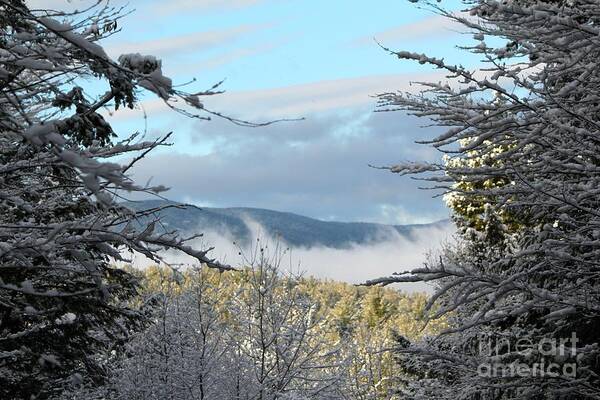Mountains Art Print featuring the photograph Through The Trees #3 by Deena Withycombe