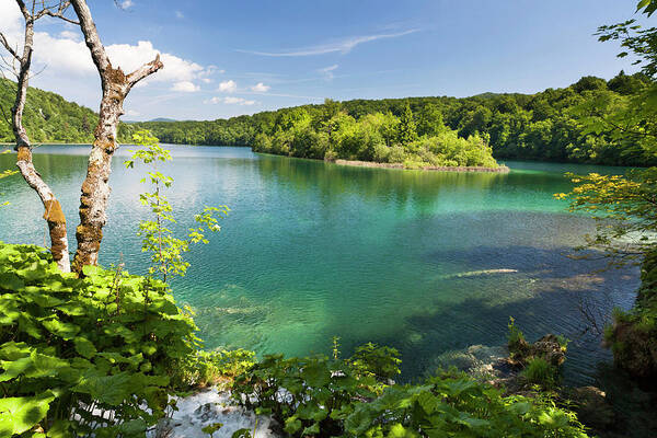 Attraction Art Print featuring the photograph The Plitvice Lakes In The National Park #36 by Martin Zwick