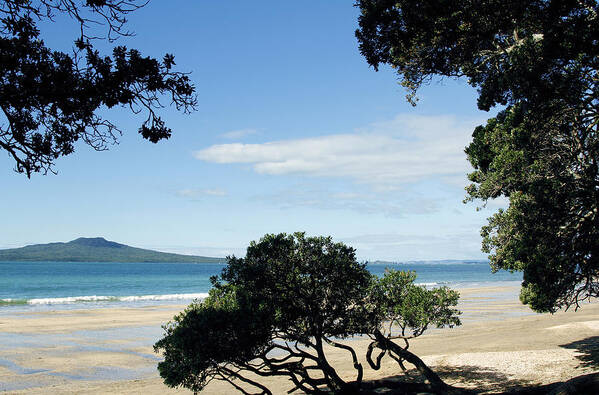 New Zealand Art Print featuring the photograph New Zealand #39 by Les Cunliffe