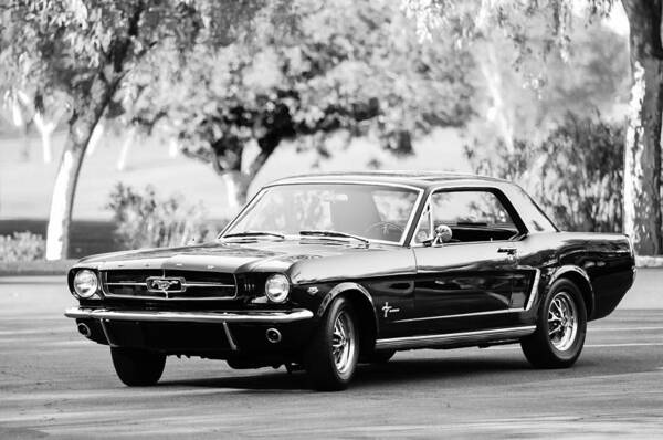 1965 Shelby Prototype Ford Mustang Art Print featuring the photograph 1965 Shelby Prototype Ford Mustang #2 by Jill Reger