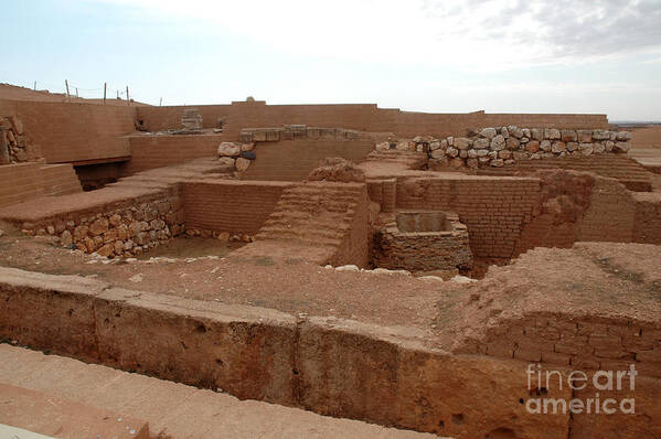 Syria Art Print featuring the photograph Ebla, Syria #4 by Catherine Ursillo