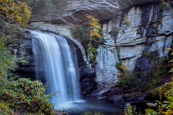 Looking Glass Falls Art Print featuring the photograph Looking Glass Falls #4 by Lynne Jenkins