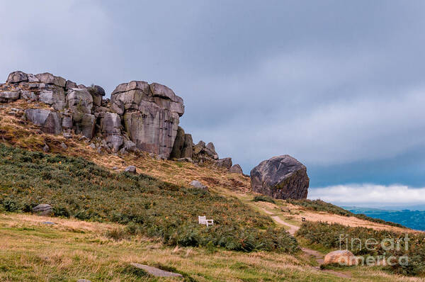 Airedale Art Print featuring the photograph Cow and Calf Rocks #5 by Mariusz Talarek