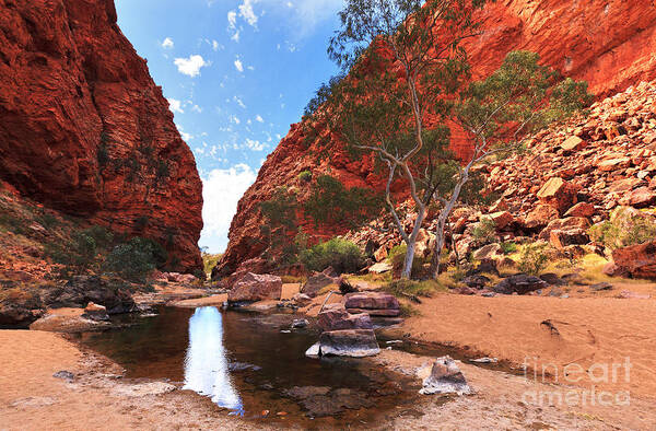 Simpsons Gap Central Australia Landscape Outback Water Hole West Mcdonnell Ranges Northern Territory Australian Landscapes Ghost Gum Trees Art Print featuring the photograph Simpsons Gap #8 by Bill Robinson