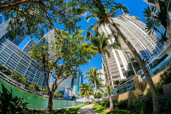 Architecture Art Print featuring the photograph Downtown Miami Brickell Fisheye by Raul Rodriguez