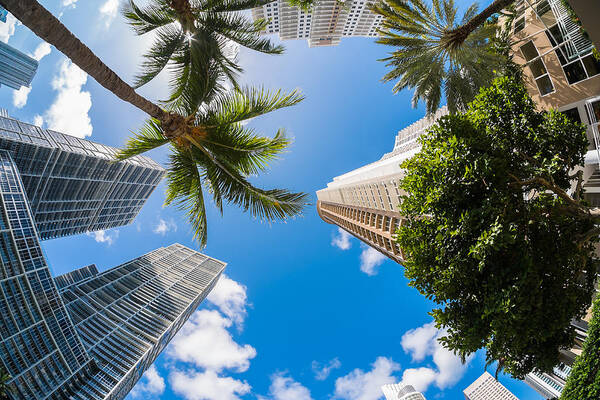 Architecture Art Print featuring the photograph Downtown Miami #7 by Raul Rodriguez